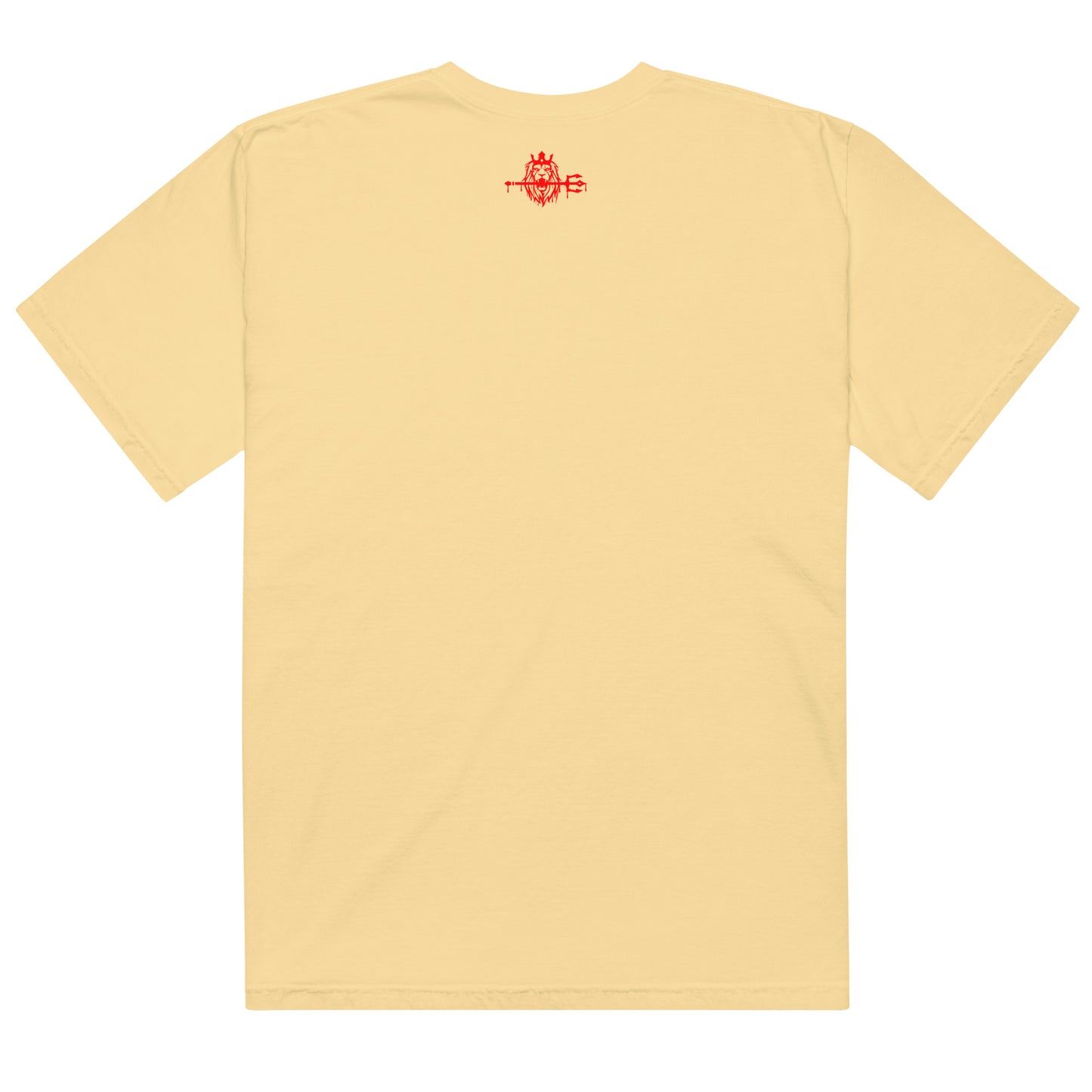 CONQR "world order" HEAVYWEIGHT TEE