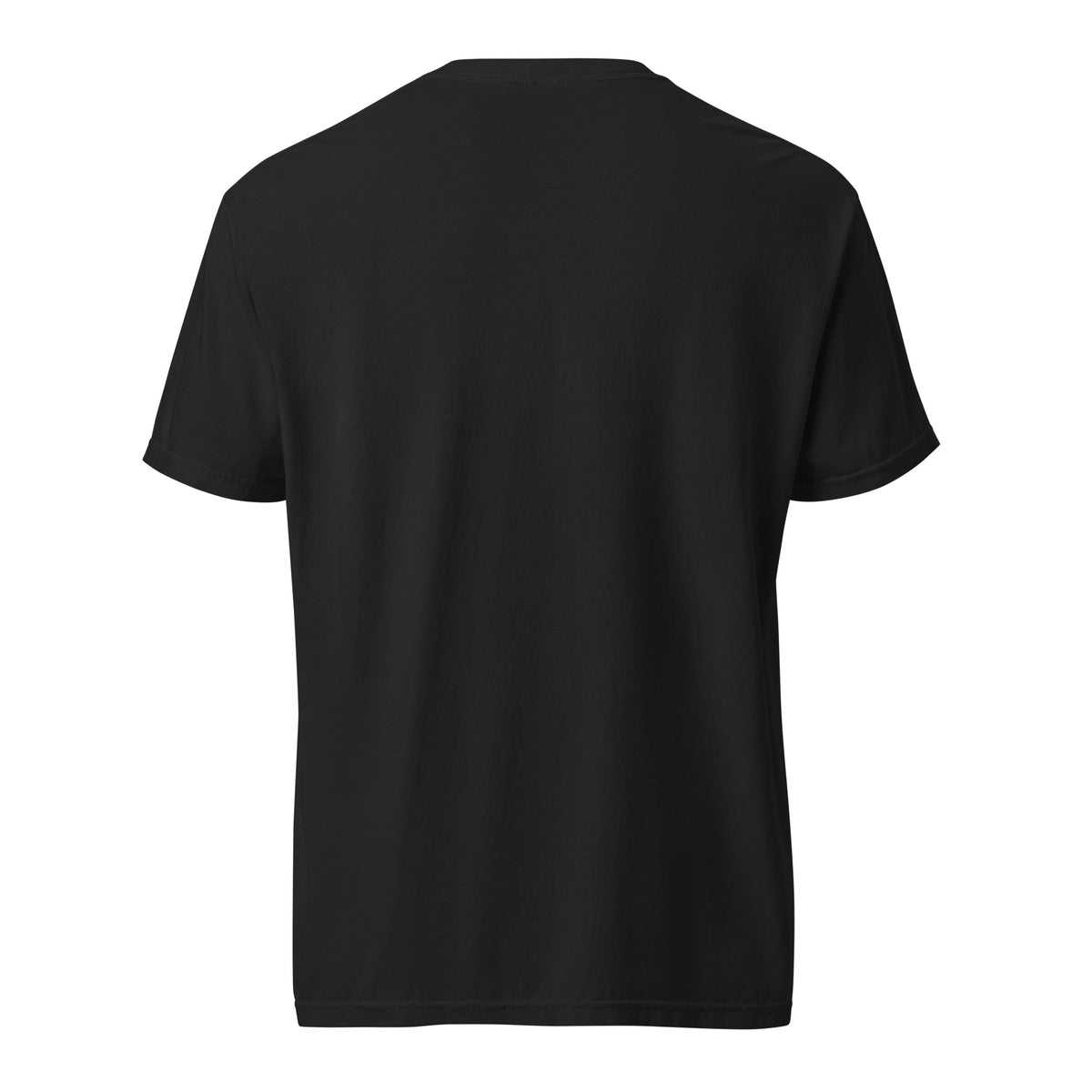CONQR World Order Heavyweight Tee — product image 4